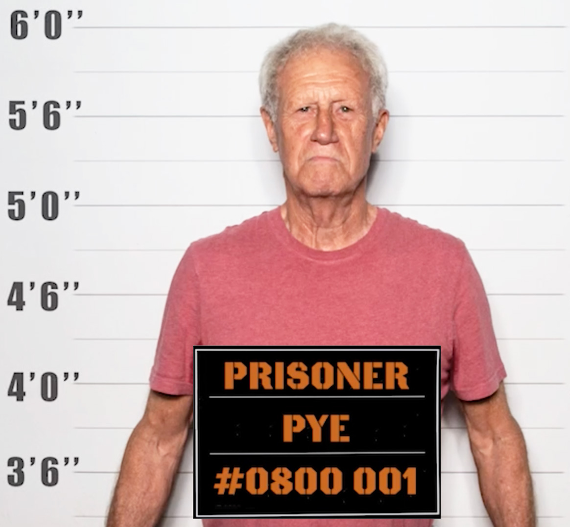 John Pye Author