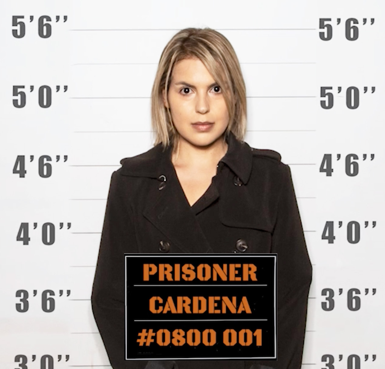 Leyla Cardena Author